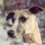 Nathanie - @nathanielig.daily - Instagram