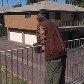 Nathaniel Daniels - @i_am_nate10 - Instagram