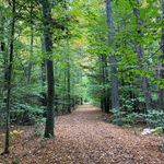 Nathaniel Decker - @nathanieldeckertours - Instagram