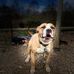 Nate Denson - Facebook