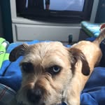 Nathan - @nathaniel.denton2004 - Instagram