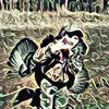 nathanieldewitt54651 - @nathanieldewitt54 - TikTok