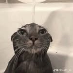 Nathaniel Dion - @spacecodm1529 - Instagram