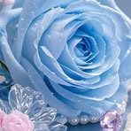 Nathaniel Doane - Facebook