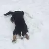 Nathaniel Doane - @nathaniel.doane0 - TikTok