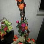 Nathaniel Dodd - @doddnathaniel - Instagram