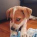Nathaniel Doherty - Facebook