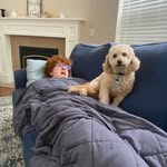 Nathaniel Downing - @nathanieldowning6 - Instagram