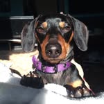 NathanielDrew - @natethedoxie - Instagram