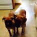 Nathaniel Driskell - Facebook