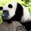 Nathaniel Driskell - @nathaniel.driskel - TikTok