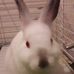 Nathaniel Drummond - Facebook