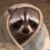 nathanielduke261 - @nathanielduke261 - TikTok