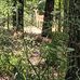 Nathaniel Dumas - Facebook