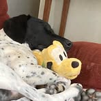 Nathaniel Dunlap - Facebook