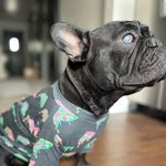 Elliott Nathaniel - @sir.elliott.nathaniel - Instagram