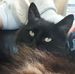 Nathaniel Emery - Facebook