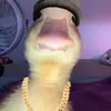 한삼 나다니엘 - @nathanielevange - TikTok