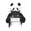 nathanielfarley - @nathanielfarley - TikTok