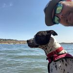 Nathaniel Fellows - @tootingturtle - Instagram