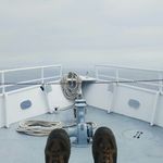 Nathaniel Fellows - @nathanielforyou - Instagram