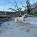 Nate Forrest - Facebook