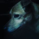 Nathaniel Forrest - @nathanielf712 - Instagram