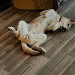 Nathanïel Fournier - @bigbody2005 - Instagram