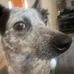 Nathaniel Gallegos - Facebook