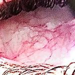 Nathaniel Gentry - @nathanielgentry05 - Instagram