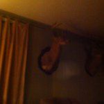 Nathaniel Myers Gentry - @buck_slayer_2014 - Instagram