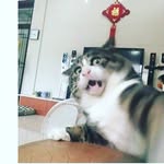 Nathaniel Gilardino Patiruhu - @gpnathaniell - Instagram
