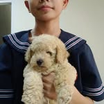 nathaniel glenn - @koko_niel - Instagram
