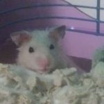 Nathaniel Glenn - @plays_with_rage - Instagram