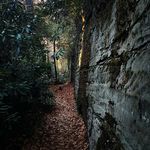 Nathaniel Glenn Rathbun - @n.rathbun - Instagram