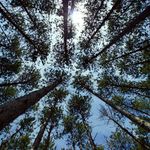 Nathaniel Goddard - @wag_wide.angle.goddard - Instagram