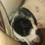 Nathaniel Goff - @tater.goff - Instagram