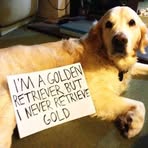 Nathaniel Goldstein - Facebook