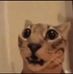 Nathaniel Gooding - Facebook