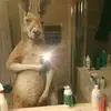nathanielgooding - @nathanielgooding - TikTok