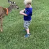 Nathaniel Goodwin - @nathaniel.goodwin6 - TikTok