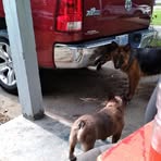 Nathaniel Greer - Facebook