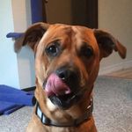 Gunner Gedman - @gunner_nathaniel - Instagram