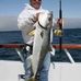 Nathaniel Gunn - Facebook