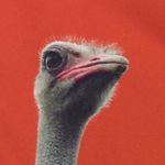 Nathaniel Hackney - @nathaniel.hackney - Instagram