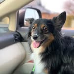 Nathaniel Hamm - @woodtee83 - Instagram