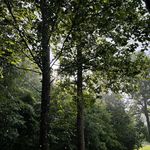 Nathaniel Hancock - @nathanielahancock - Instagram