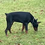 Nathaniel Hankinson - @hankinsonnathaniel - Instagram