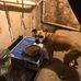 Nathaniel Hannah - Facebook