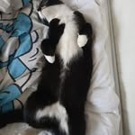 Leon Nathaniel Håheim - @leonnathanielhaheim - Instagram
